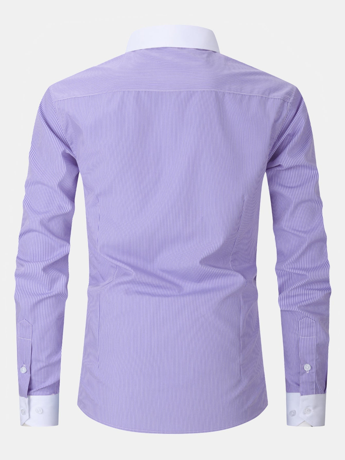 Dress Shirt with Striped Contrast Collar